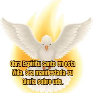Obra Espiritu Santo en esta Vida, Sea manifestada su Gloria sobre uds. - getsticker.com