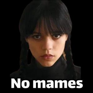 No mames - getsticker.com
