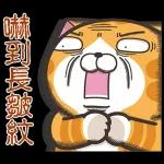 白爛貓11☆超級萌☆