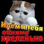 MAN CIOAAAA! Ta ОБНИМАТЬСЯ БУДЕМ!