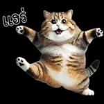 แมวถังแกสอ้วนตุ้บ 03