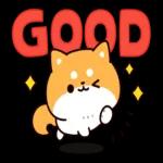 问问题： 柴犬的回答