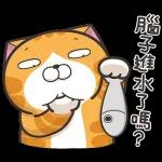 白爛貓11☆超級萌☆