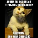 иди в пень