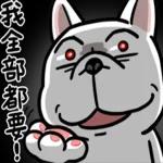 豆卡頻道-茶寶丸萌犬篇