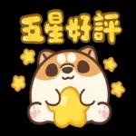 米犬日常 - 冬至篇