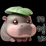 หมูดุ้งฮิปโปตัวกลมใบไม้