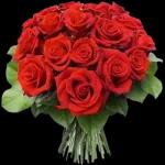 flower🌸 🌹 🌺 