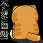 白烂猫   😎😎