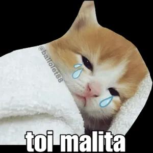 th2fFC