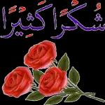 ملصقات حلوه 