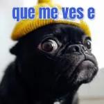Me la chupas?
