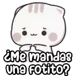 tfMeaM