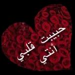 حب