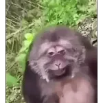 Keine Ahnung
