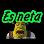 amor es amooor