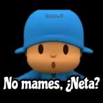 Vamos a Culiar
¿Sí o No!?