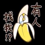 要動起來了！那隻鳥。