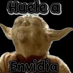 Quieres pelea Prro?