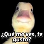 ¿Qué me ves, te gusto?