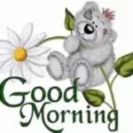 best wish for you