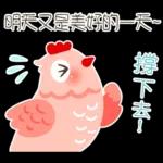 歡樂粉紅雞婦女節！