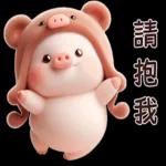 小猪熊好可爱啊