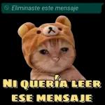QUE TA CHENDO Dias