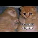No puedo respirar