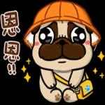 豆卡頻道-茶寶丸萌犬篇