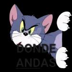 TODO BIEN