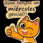 feliz martes