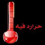 متاز بارك الله فيك ئے