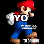 super Mario bros y los pumas