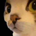                              🤖 Stickers a Full #➌➐ 🤖TOP STICKERS