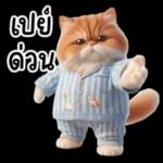 แมวขี้โมโหในชุดนอนสีอ่อน