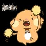 貴賓狗妞妞-好禮貌好親切