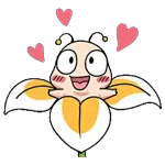 www
