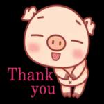 豬豬 the pig