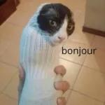 bonjour
