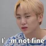 seventeen表情管理2 :: @fStikBot