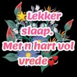 Lekker Slaap