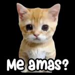 Un Gran Día Feliz Día