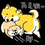 柴犬可愛使用貼圖合集
