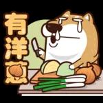 我是你的柴 2