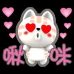 肉圓咪-好用生活貼