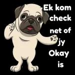 WhenGODsteps inMIRACLEShappen.