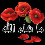 من الذي فاتك؟