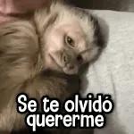 ESTAS EN LÍNEA.. YA TE VI