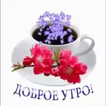 нов